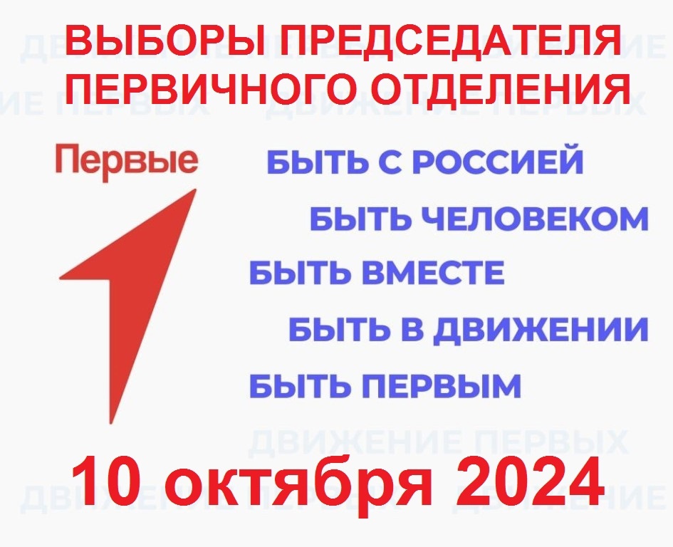 Выборы председателя Совета Первых первичного отделения МБОУ Никольской СОШ! .